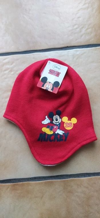 Bonnet péruvien cache oreilles "Disney".