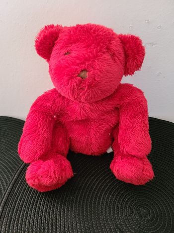 Doudou Ours du Pareil au même - Dpam