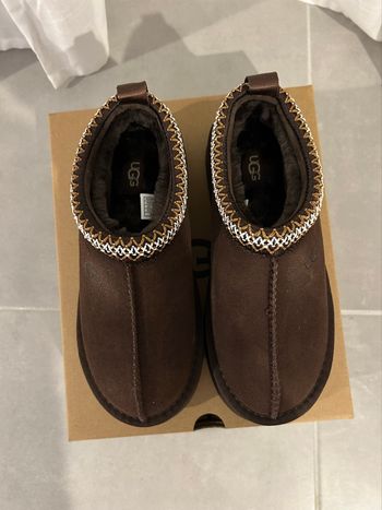 Ugg tazz Tasman