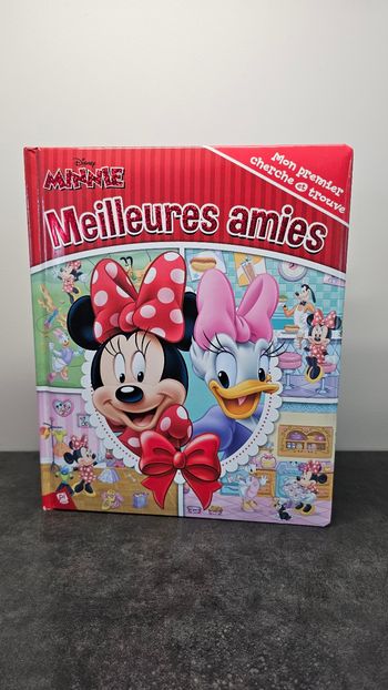 Grand livre 📙 Minnie