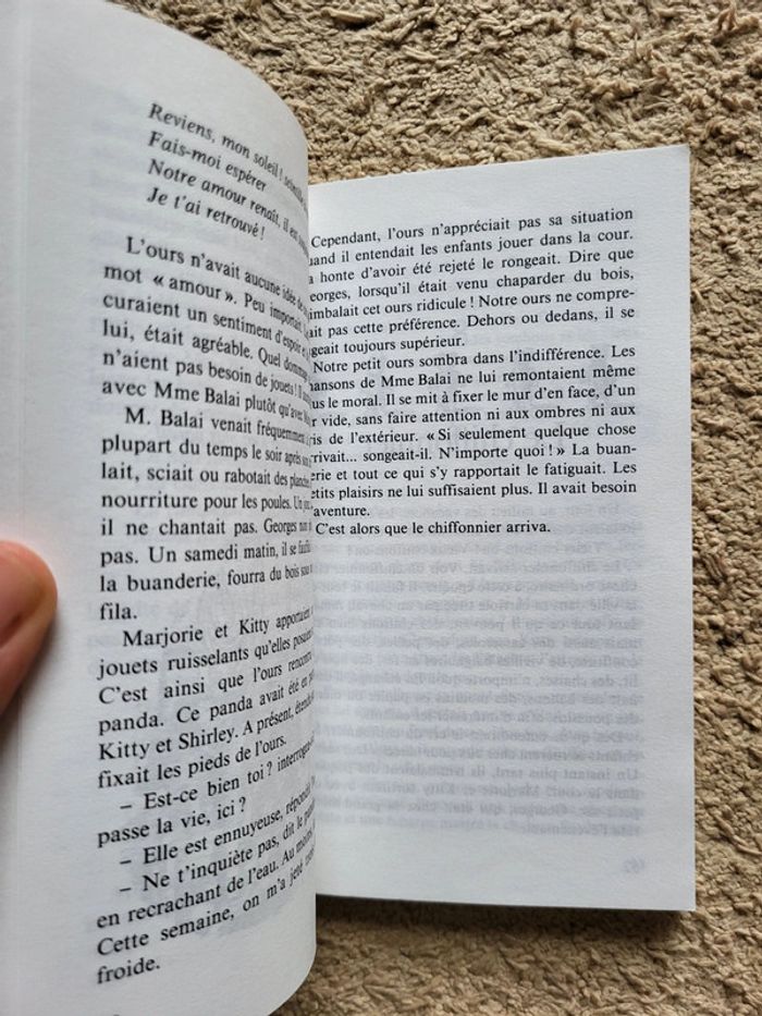 Roman jeunesse "L'ours qui personne n'aimait" de Janet et Allan Ahlberg - photo numéro 7