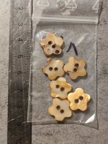 lot de 6 boutons en nacre / marron / env 1 cm