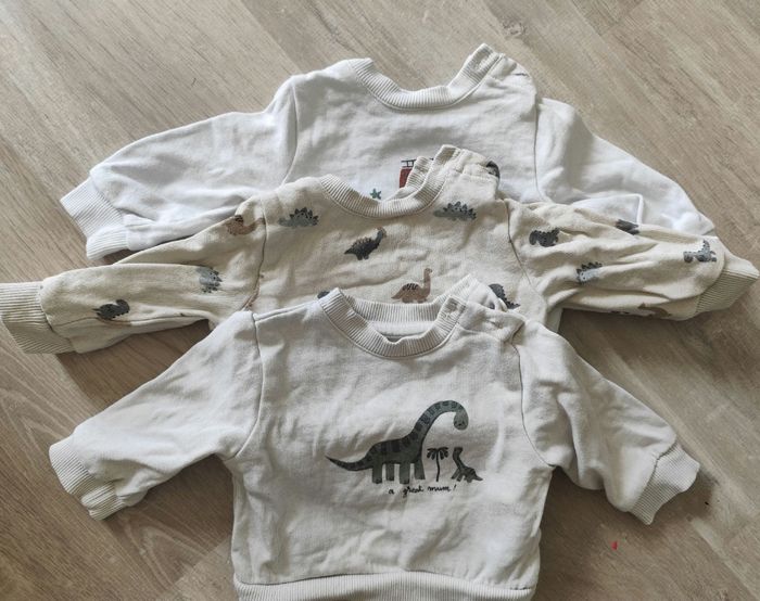 Pull et tee shirt - photo numéro 1