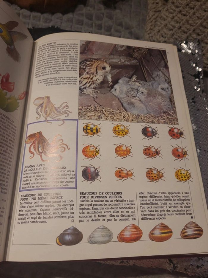 Tout l'univers encyclopédie de l'âge scolaire - photo numéro 6