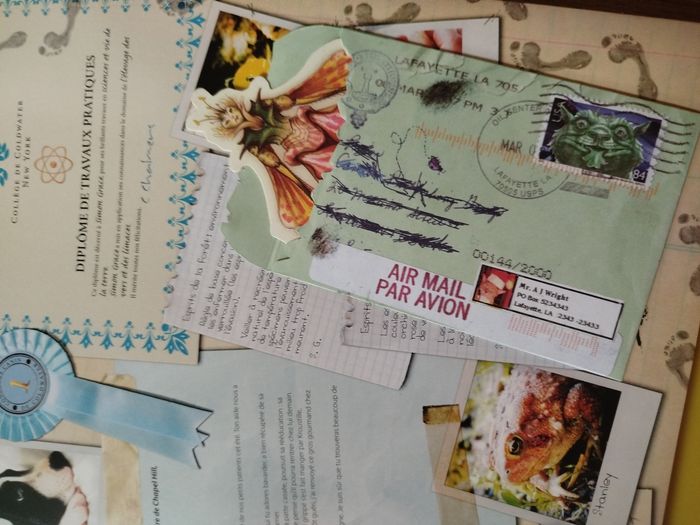 Les Chroniques de Spiderwick : Un voyage avec Chafouin  - Rare - photo numéro 5