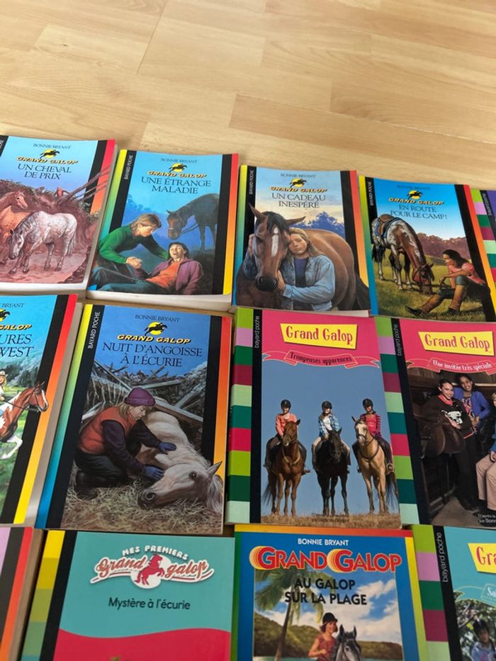 Livre grand galop - photo numéro 3