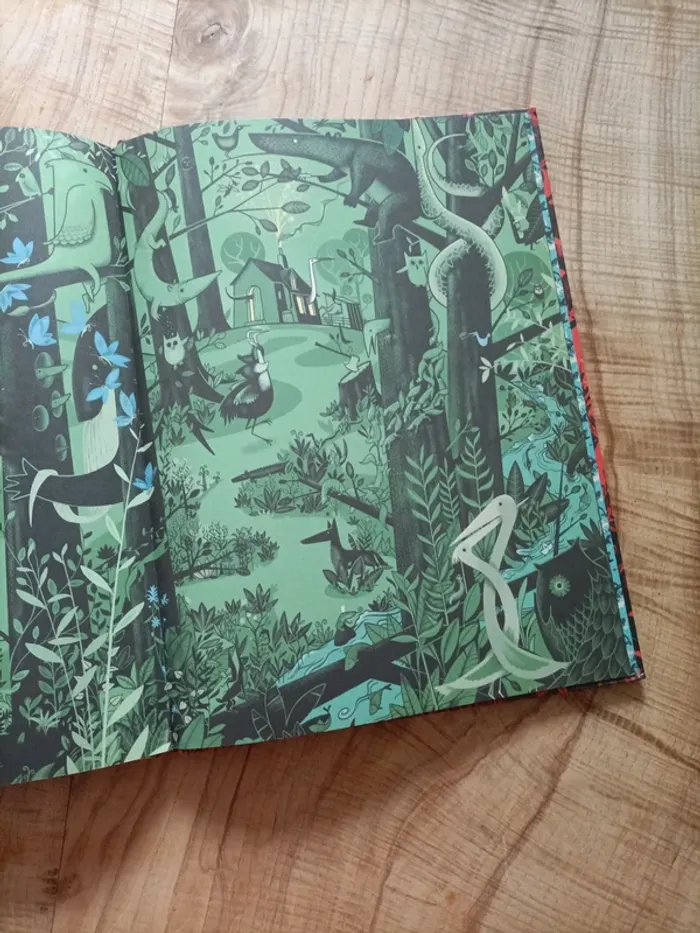 Livre jeu Flinn - photo numéro 4
