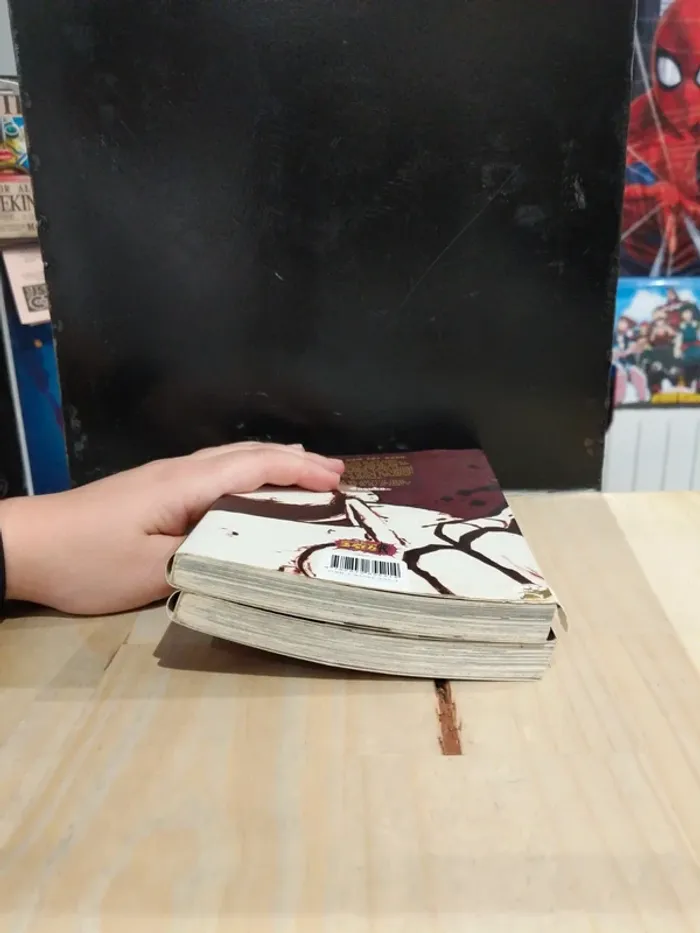 Lot La Légende de Raoh – Tomes 1 & 2 - photo numéro 5