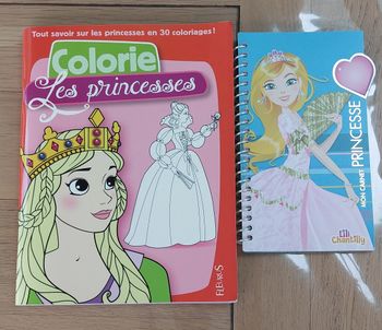 Lot de 2 cahiers d'activités Princesse Lot de 2 cahiers d'activités Princesse. 
Le 1er comporte des stickers à coller.
J'ai entouré sur les photos les stickers manquants et il manque 2 croquis.
Les autres n'ont pas été réalisés. 
Le 2è