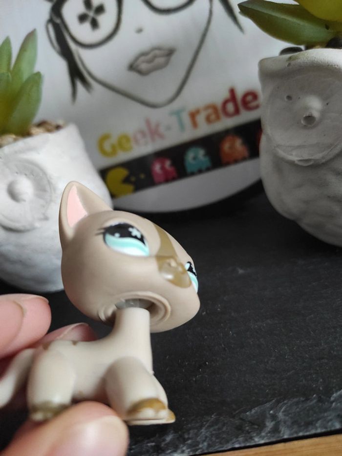 Littlest Petshop LPS chat europeen 468 792 cat european #geektradelpschat - photo numéro 6