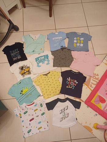 Lot 13 tee shirt manches courtes bébé