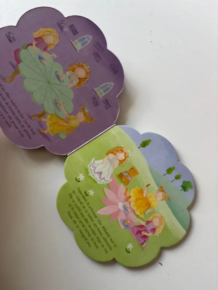 Livre princesse Lilou - photo numéro 4