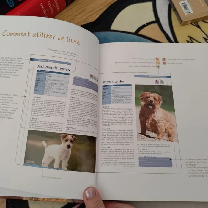 Encyclopédie visuelle des races de chiens - photo numéro 4
