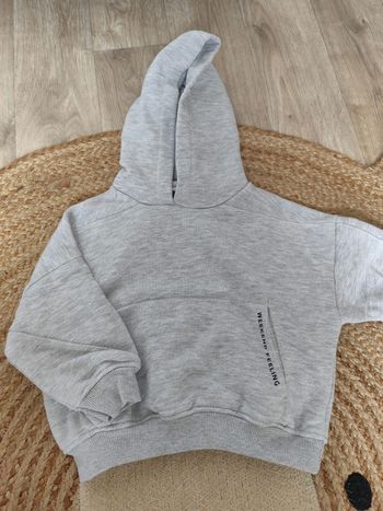 Sweat a capuche