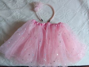 Jupon rose en tulle étoile argentée + serre-tête couronne princesse