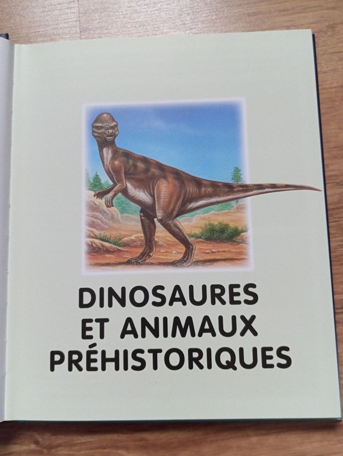 L'imagerie dinosaures et préhistoire - photo numéro 6