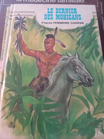Livre le dernier des mohicans