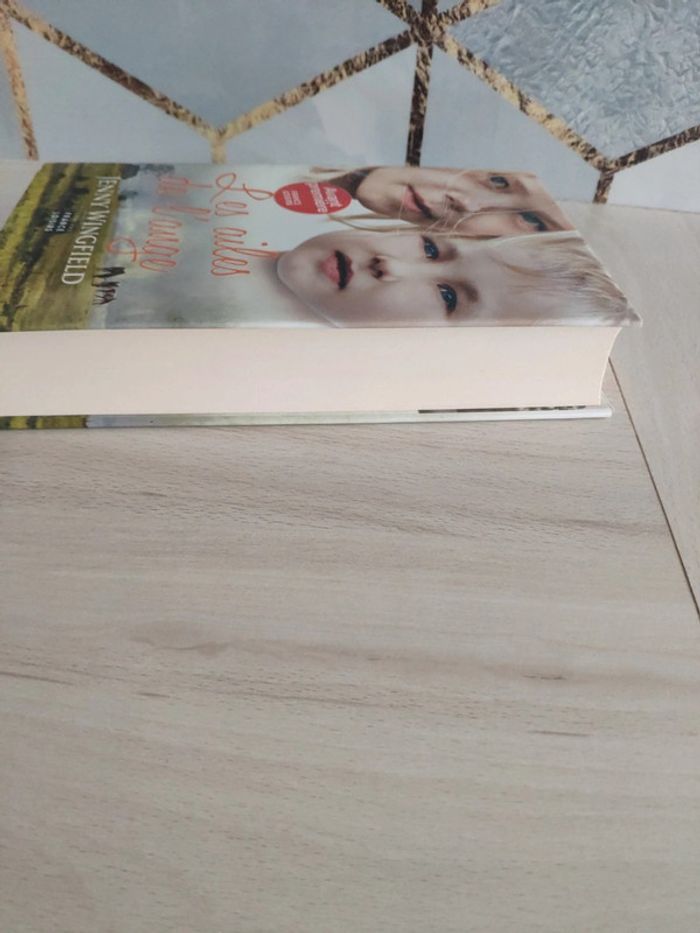 Livre grand format les ailes de l'ange Wingfield - photo numéro 3