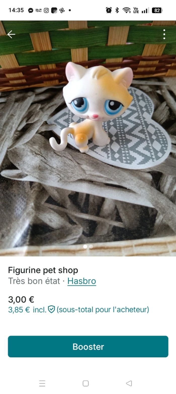 Pet shop - photo numéro 3