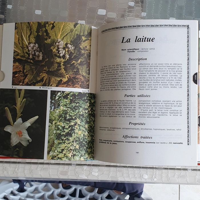 Le secret des plantes - photo numéro 2