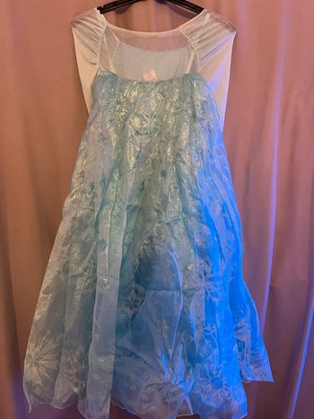 Robe reine des neiges princesse