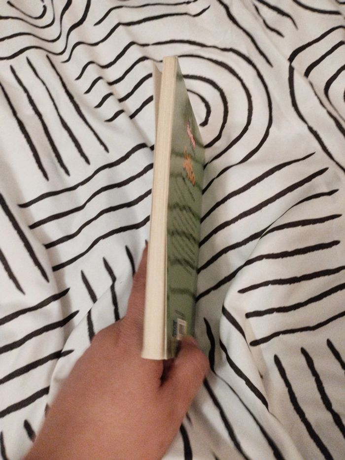 Livre Salto le poney champion - photo numéro 3