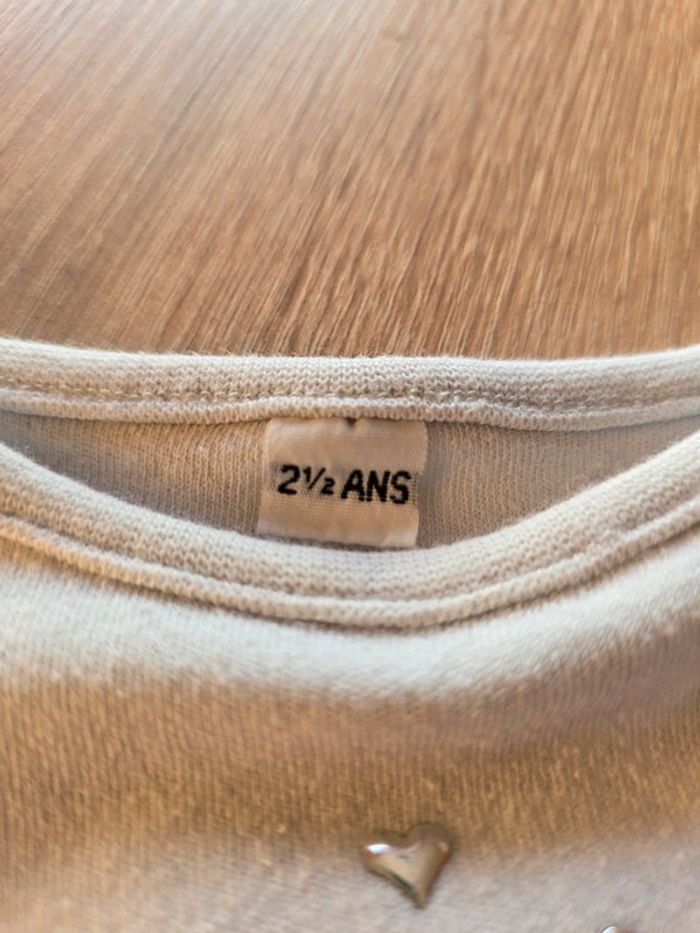 Maillot 2 ans 1/2 - photo numéro 4