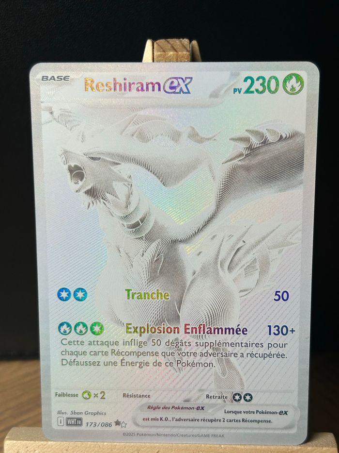 Reshiram BWR - photo numéro 2