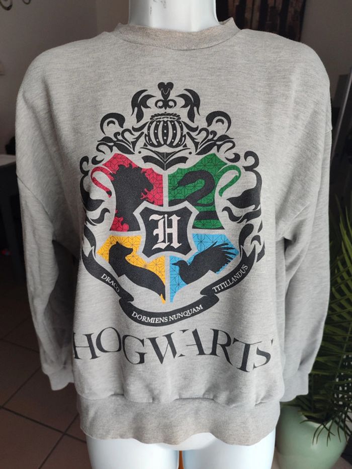 Sweat harry potter