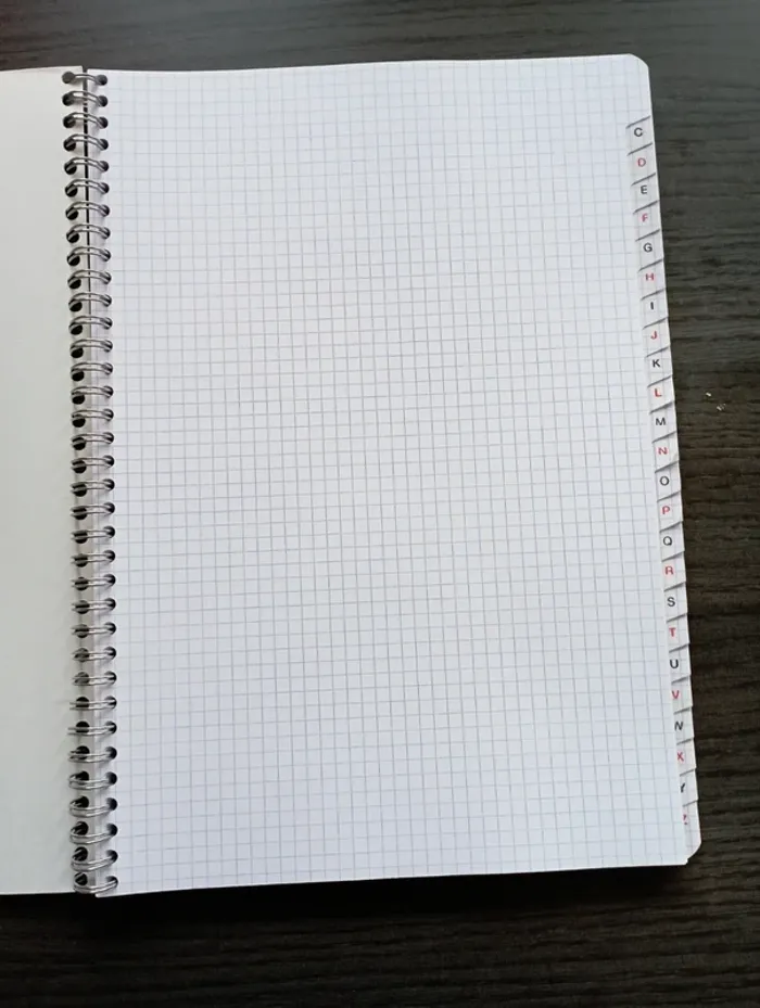 Cahier Clairefontaine 21x29,7 cm 180 pages petit carreaux - photo numéro 3