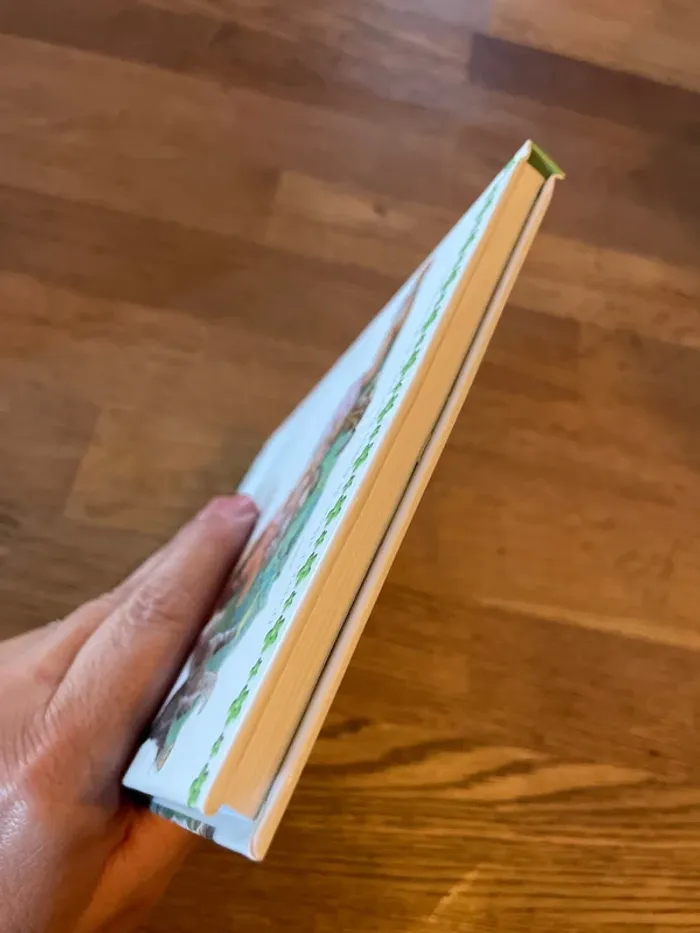 Livre Martine et le chaton vagabond - photo numéro 6