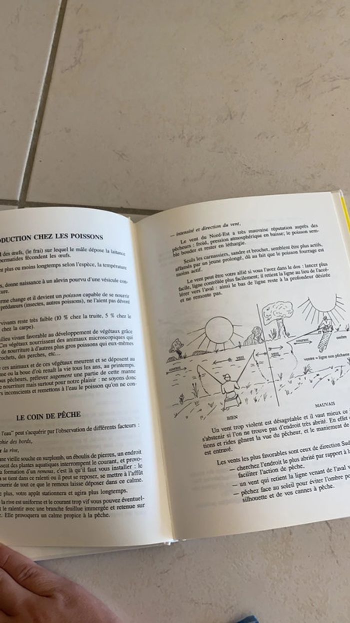 Toutes les pêches au coup - photo numéro 5