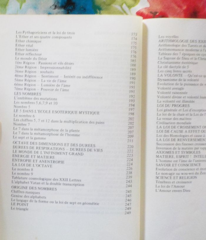 INITIATION SOLAIRE RAMIQUE RESTITUEE par André COTTY - photo numéro 7
