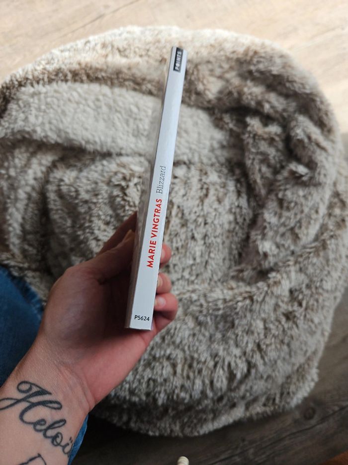 Livre Marie Vingtras - photo numéro 3