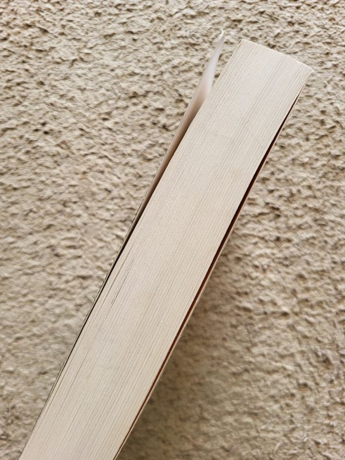 Livre Le mystère Soline, Au-delà du temps de Marie-Bernadette Dupuy - photo numéro 3