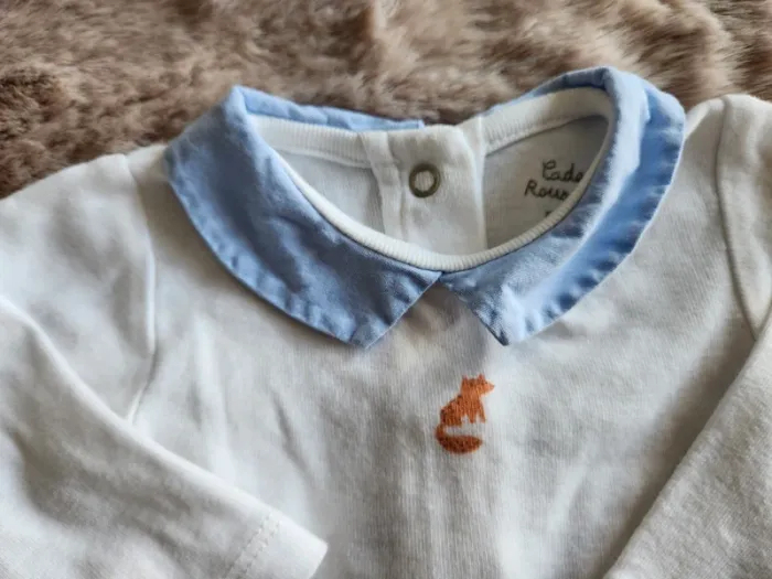 Bodie renard - photo numéro 2