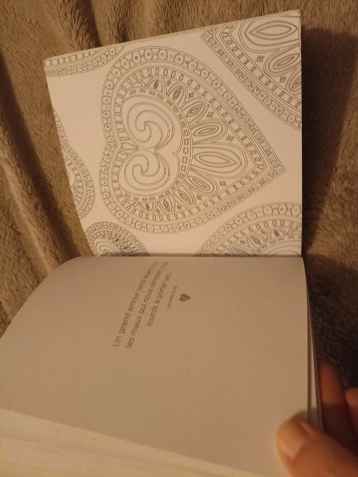 Petit livre à colorier - photo numéro 2