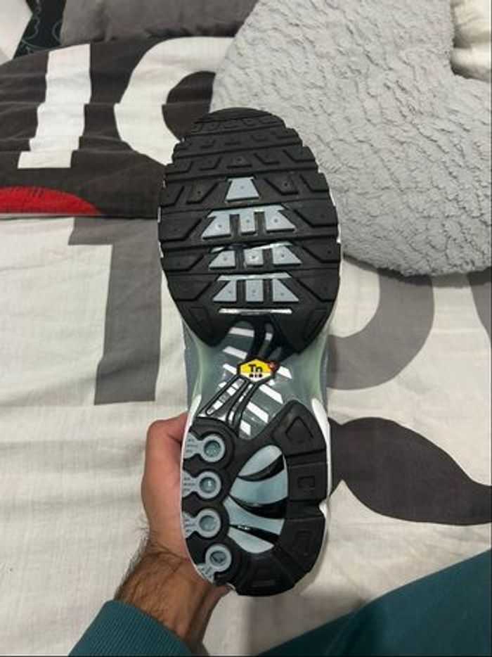 Tn palm 36 - photo numéro 2