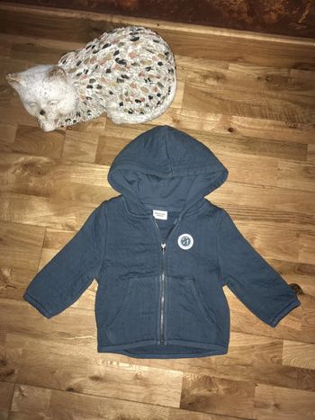 Gilet bleu à capuche TAO 6 mois=68cm