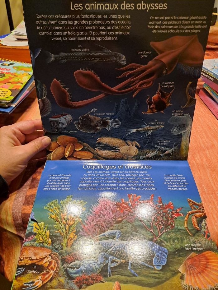 L’imagerie découverte la mer - photo numéro 5