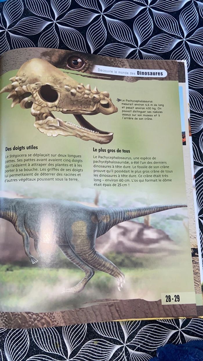 Livre Découvre les dinosaures - photo numéro 6