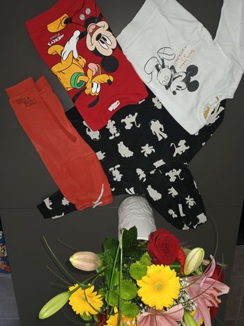 lot Mickey