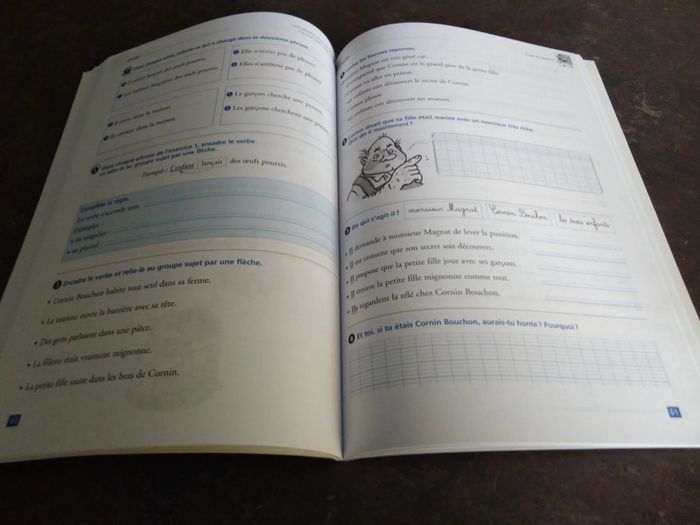 Lot de 2 livres Ribambelle CE1 - photo numéro 19