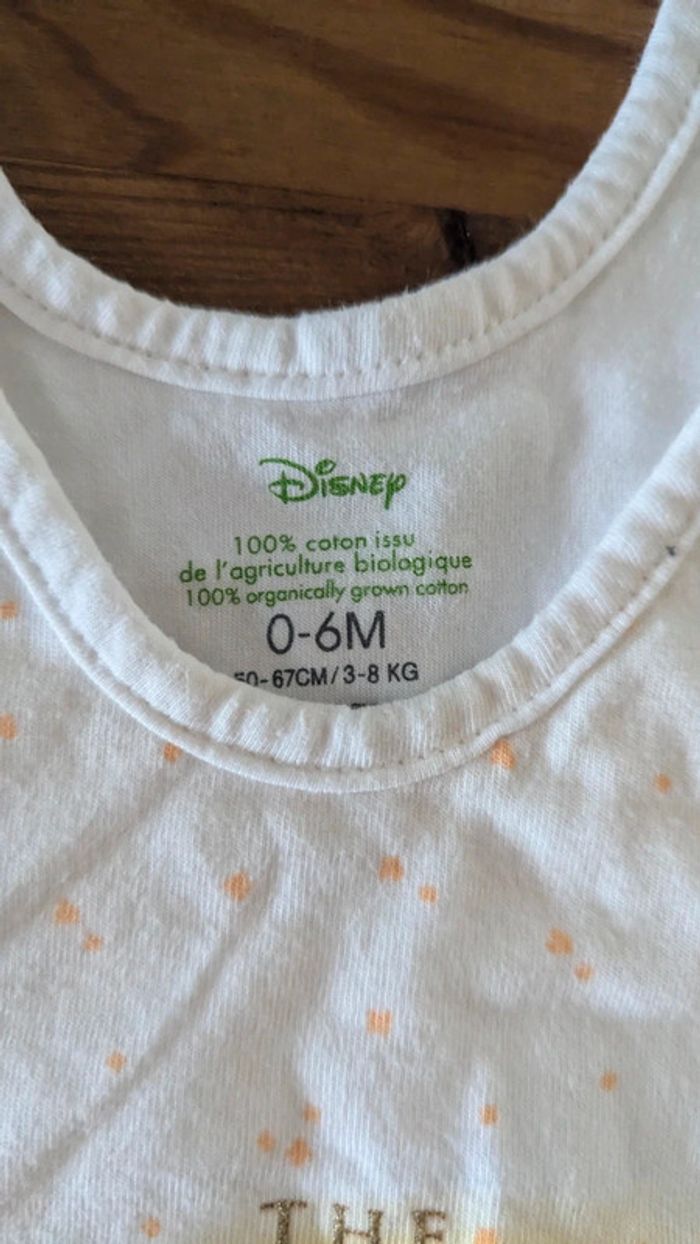 Gigoteuse Disney - photo numéro 3