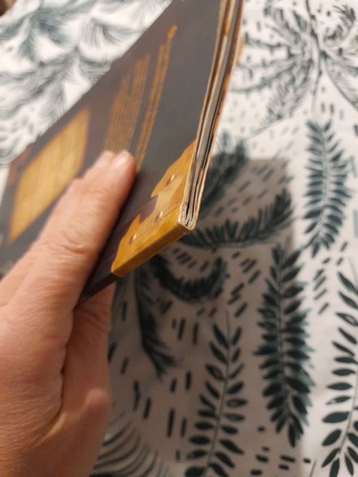 Barbe-Noire et les pirates des caraïbes - photo numéro 14