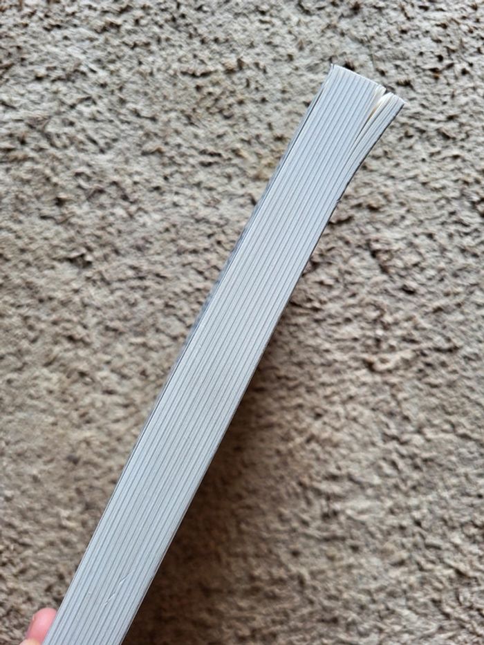 Sexes et mensonges de Leïla Slimani – Essai choc sur la sexualité au Maroc - photo numéro 3