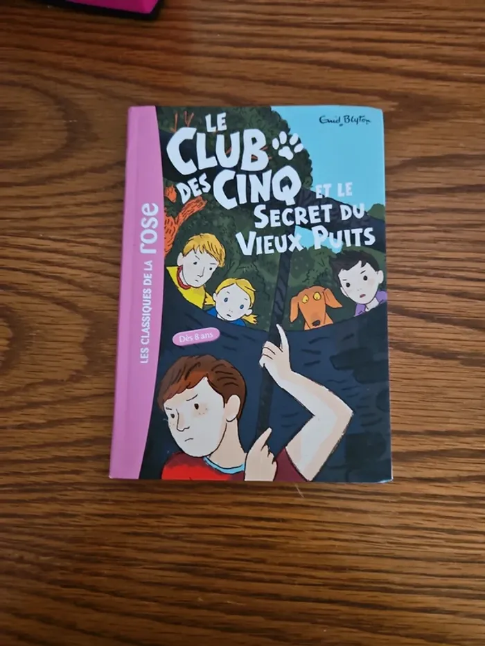 Livre bibliothèque rose le club des cinq et le secret du vieux puits