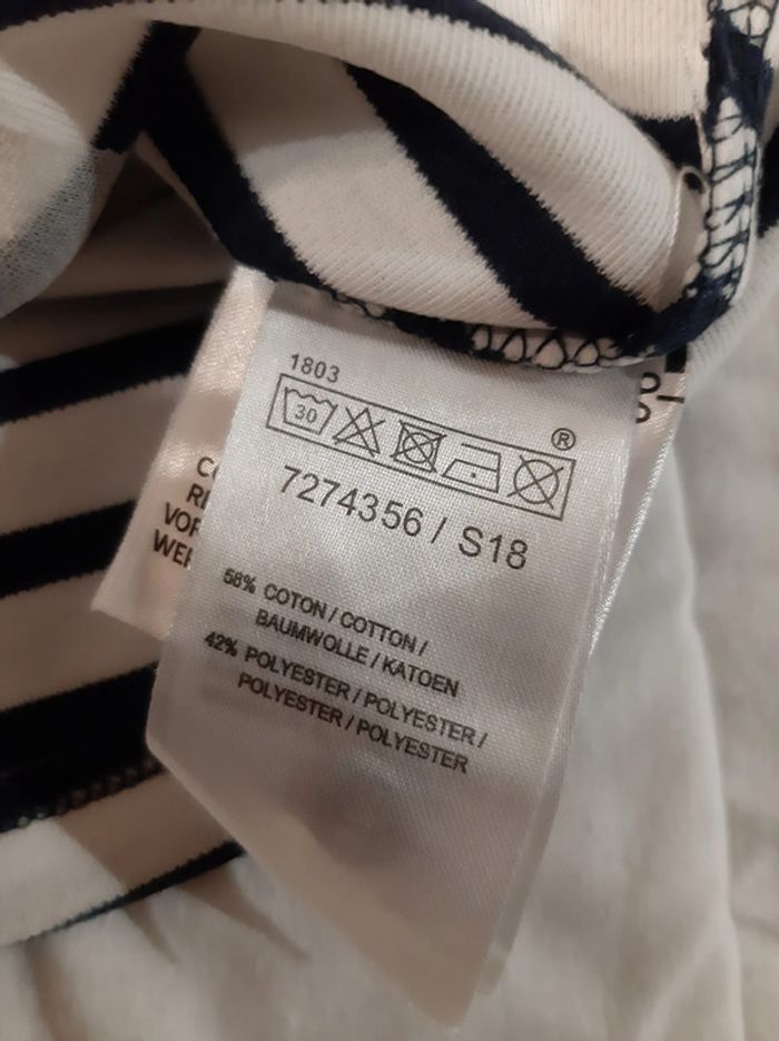 Robe rayée chat - photo numéro 4