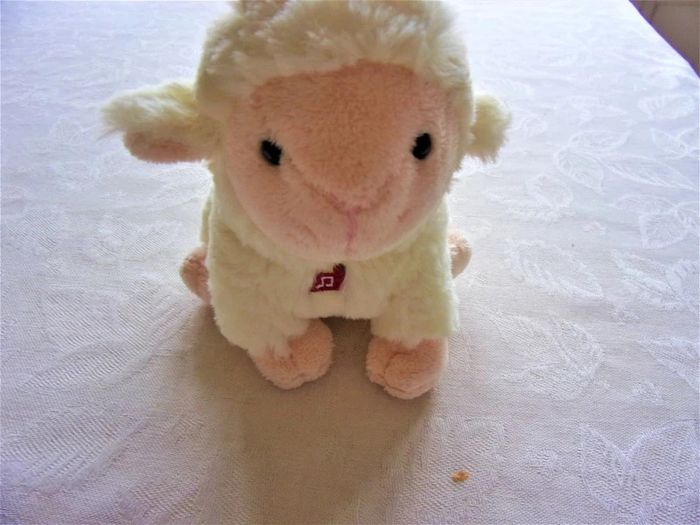 Adorable mouton qui bêle - photo numéro 2