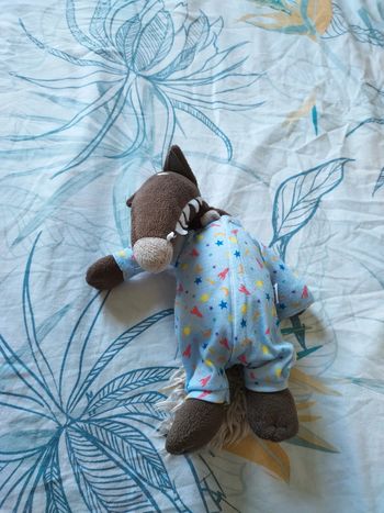 Peluche loup auzou pyjama